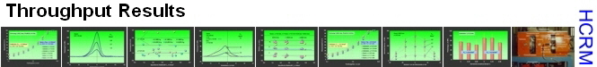 Throughput Results